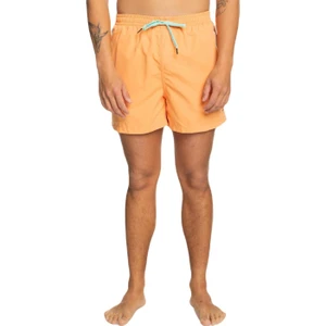 Behind Waves Erkek Volley Short