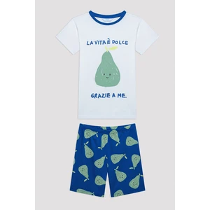 Erkek Çocuk Pear Çok Renkli Pijama Takımı