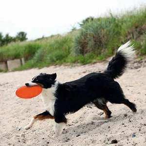Köpek Yüzen Termoplastik Kauçuk Frizbi 18cm