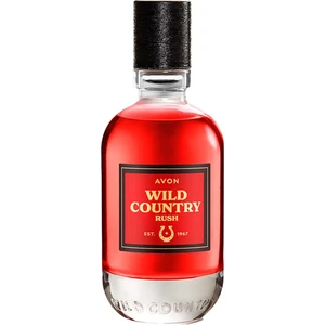 Wild Country Rush Erkek Parfüm EDT 75 ml