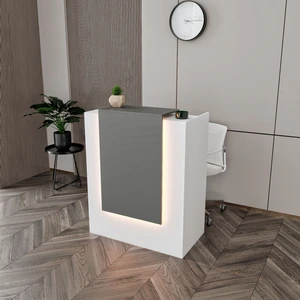 Rosepal Mobilya Cool Ledli ve Tek Çekmeceli Karşılama Bankosu
