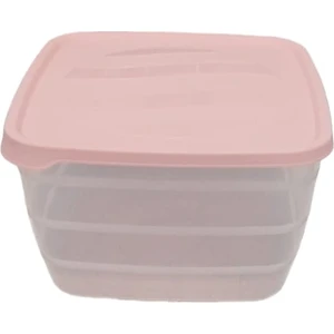 Çankaya Plastik Karizma Kare Saklama Kabı 4 Lt  2315