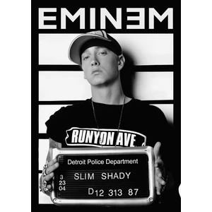 512 Art Design Eminem Duvar Poster 30X42 cm Çerçevesiz