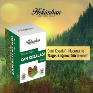 Çam Kozalağı Macunu 240 Gram