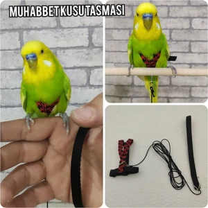 Muhabbet Kuşu Tasması