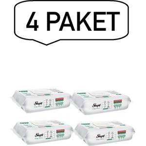Easy Clean Yüzey Temizlik Havlusu 100 Yaprak (4 Adet)