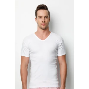 &donex Erkek Ribana V Yaka Slim Fit T-Shirt Fanila 2130 (1 Adet)