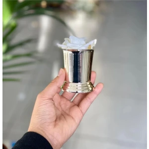 Ayz Home 1 Adet Gümüş Kaplama Gül Kovası