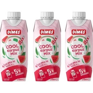 Cool Karpuz Mix 310 ml 3 Adet