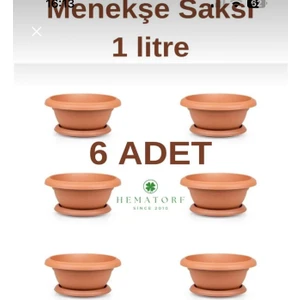 Menekşe Saksı 1 Litre - 6 Adet