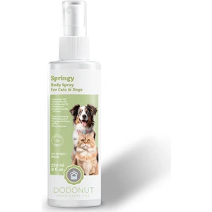 Springy Kolay Tarama Ve Doğal Bakım Spreyi 250 Ml