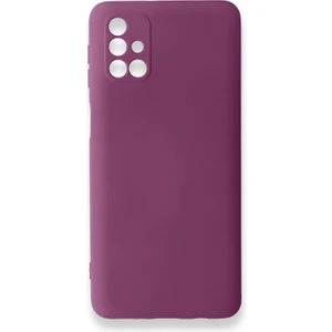 Samsung Galaxy M31S Uyumlu Nano Arka Koruma Kılıf