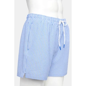 Erkek Mavi Stripe Deniz Şortu