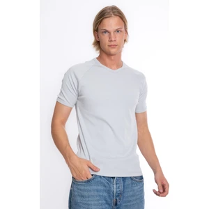 Erkek Gri V Yaka Ribana Reglan Kol  Tshirt S-202