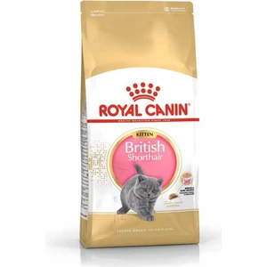 Royal Canin Kitten British Shorthair Yavru Irk Kedi Maması 2 Kg
