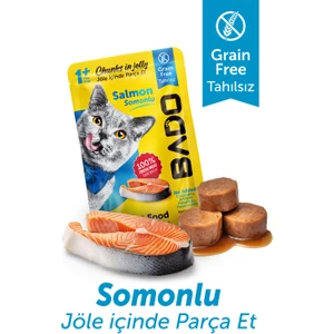 Yetişkin Yaş Kedi Maması Parça Somon Balıklı 85 Gram