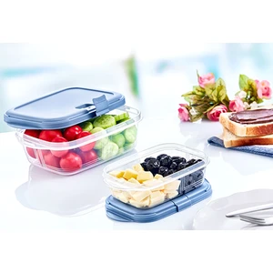 Royaleks Group Bas Aç Push Up Dikdörtgen Saklama Kabı 0,4 Lt 10,5 x 16,7 x 4,8 cm ROYALEKS-81925