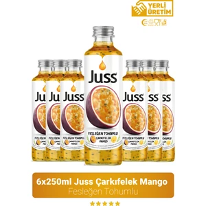 Fesleğen Tohumlu Çarkıfelek Mango Aromalı Meyve Suyu 6'lı 250 ML