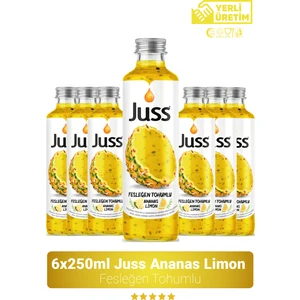 Fesleğen Tohumlu Ananas&limon Aromalı Meyve Suyu 6'lı 250 ML