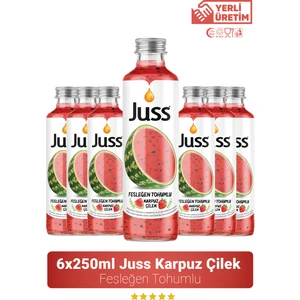 Fesleğen Tohumlu Karpuz Çilek Aromalı Meyve Suyu 6'lı 250 ML