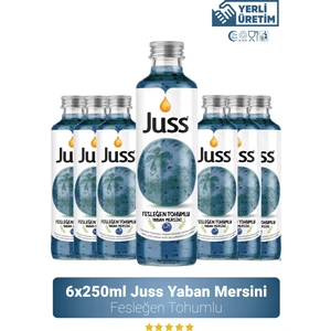 Fesleğen Tohumlu Yaban Mersini Aromalı Meyve Suyu 6'lı 250 ML
