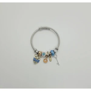 Ozgurca Aksesuar Baykuş Charm Çelik Pandora Bileklik