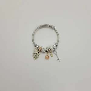 Ozgurca Aksesuar Baykuş Charm Çelik Pandora Bileklik