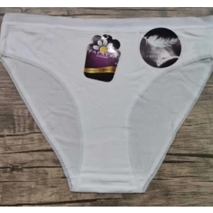 2864 Kadın Şeffaf Lastikli Modal Bato Külot 12 Adet