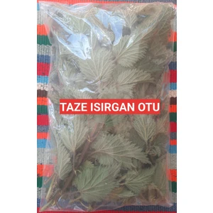 200 Gram İlaçsız Taze-Yaş Toplanmış Organik Isırgan Otu