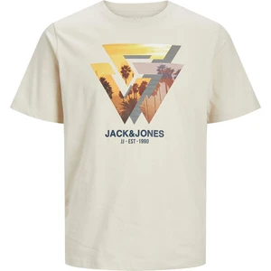 Jack & Jones Erkek T-Shirt 12247798