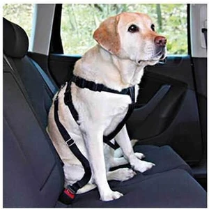 Köpek Emniyet Kemeri L 70-90cm