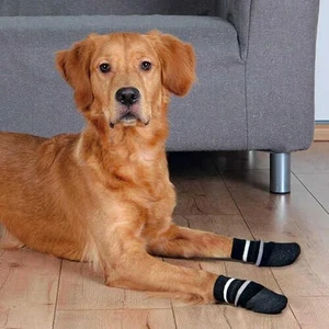Köpek Çorabı  Kaymaz L–Xl  2 Adet