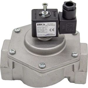 Eska 1" Selenoid Vana 220V