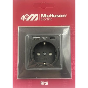 Rita Füme USB + Type C Şarjlı Topraklı Priz