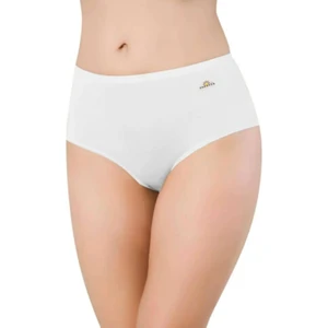 1851 Kadın Yüksek Bel Modal Külot 12 Adet