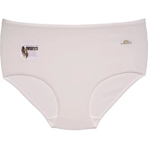 1851 Kadın Yüksek Bel Modal Külot 6 Adet