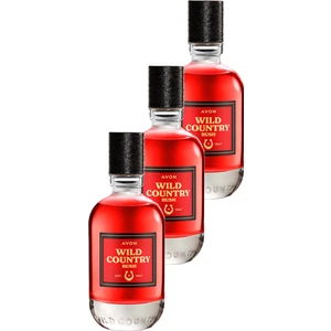 Wild Country Rush Erkek Parfüm EDT Üçlü Set 75 ml