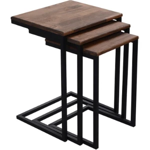 Enjoy Life Enjoylife Ahşap 3'lü Zigon Sehpa