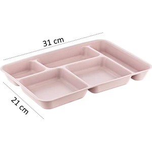 Holly Home Tabldot 5 Bölmeli Lüks Plastik Piknik Tablot Yemek Servis Tabağı Pudra 21 x 31 x 3,5 (H) cm