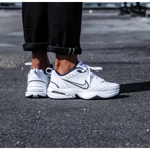Air Monarch