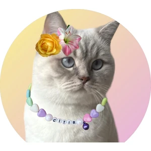 Isimli Boncuklu Renkli Kedi Köpek Tasması