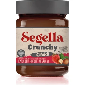 Çilekli Meyve Parçacıklı Kakaolu Fındık Kreması 350GR