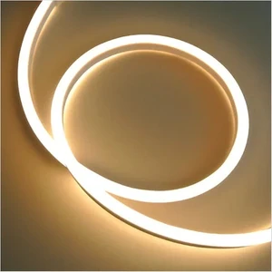 6 Metre Neon GÜNIŞĞI 220 V Esnek Hortum Şerit LED Işık Aydınlatma + Güç Fişi