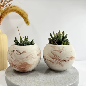 Sukulent Şehri Geometrik  Saksı Ve Sukulent