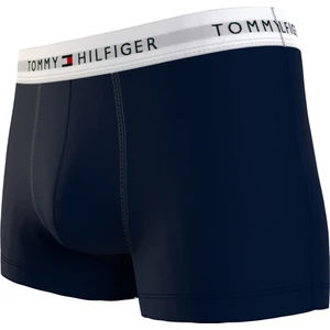 Tommy Hilfiger Mavi Erkek Boxer UM0UM027610YV