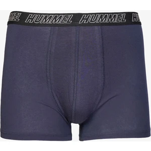 Hmlbekes Erkek Lacivert Boxer 970311-7480