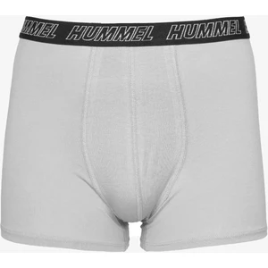 Hmlbekes Erkek Gri Boxer 970311-2521