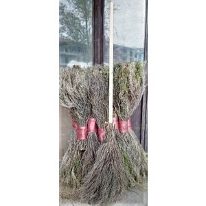 Tutar Nalbur Çalı ve Cadı Süpürgesi