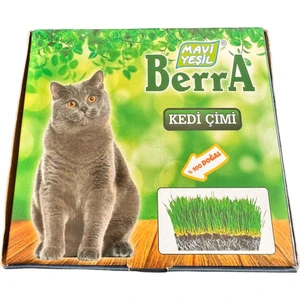 Kedi Çim