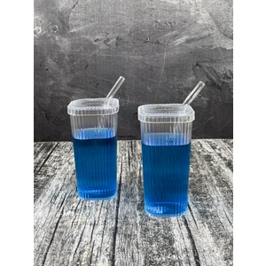 2 Adet Kare Mika (Cam Değildir) Kapaklı Pipetli Pinterest Bardak Soğuk Kahve Meşrubat Bardağı